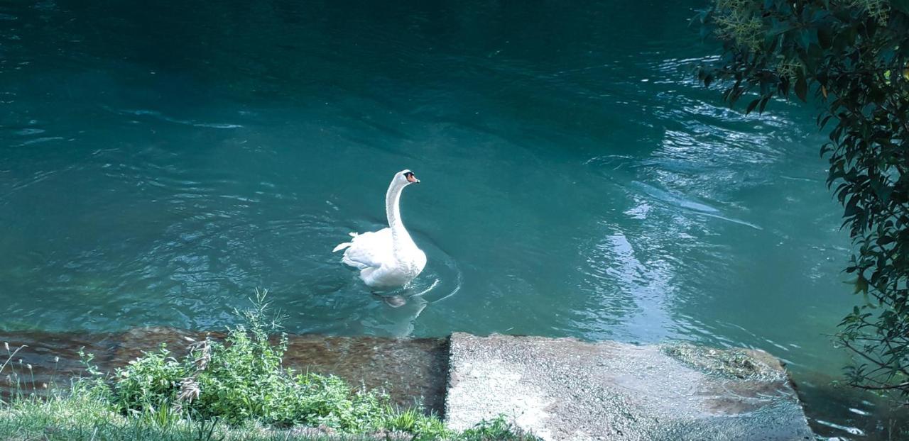 Ampio Appartamento Vicino Al Centro Di Treviso, Parcheggio Gratuito Extérieur photo