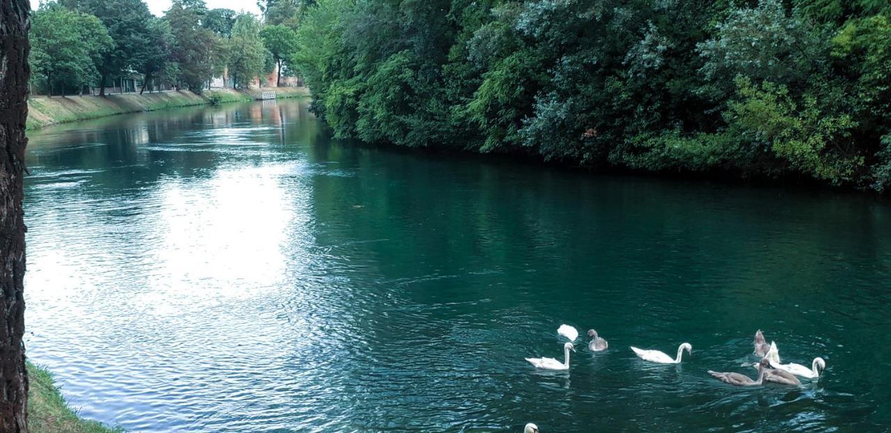 Ampio Appartamento Vicino Al Centro Di Treviso, Parcheggio Gratuito Extérieur photo